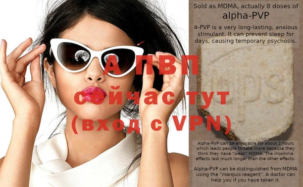 сатива Бронницы