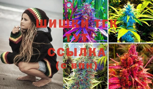 mdma Богородицк