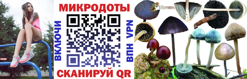 Галлюциногенные грибы Cubensis  купить   Касимов 